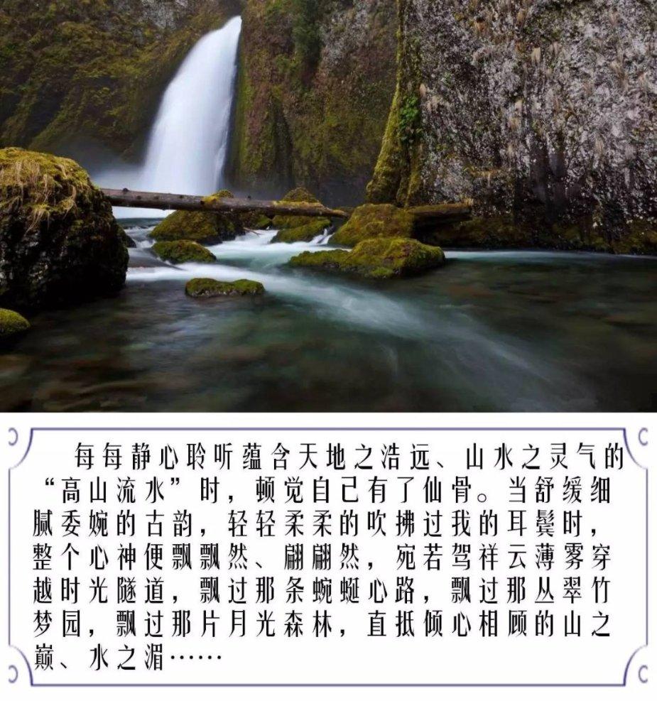 小鸡要回家